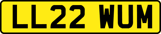 LL22WUM