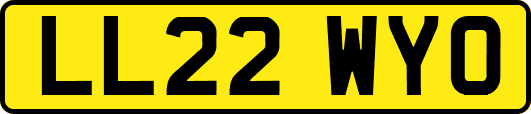 LL22WYO