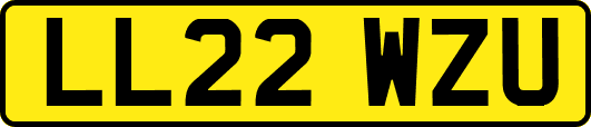 LL22WZU