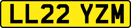 LL22YZM