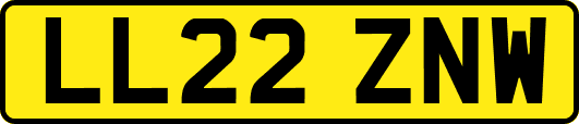 LL22ZNW