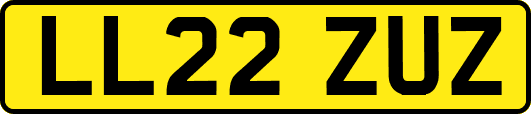 LL22ZUZ