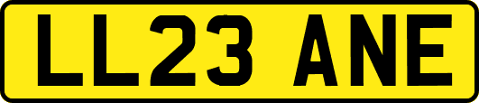 LL23ANE