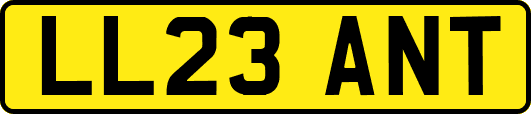 LL23ANT