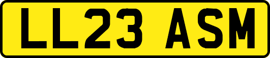 LL23ASM