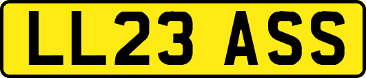 LL23ASS