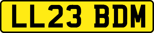 LL23BDM