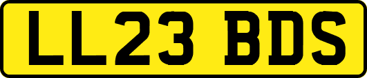 LL23BDS