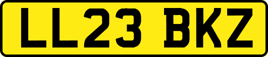LL23BKZ