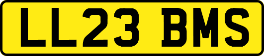 LL23BMS
