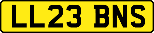 LL23BNS
