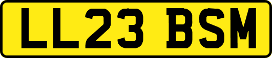 LL23BSM