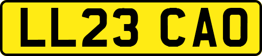 LL23CAO