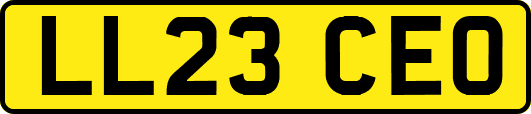 LL23CEO