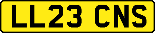 LL23CNS