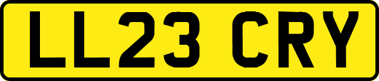 LL23CRY