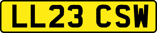 LL23CSW