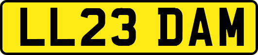 LL23DAM