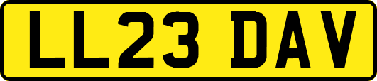 LL23DAV