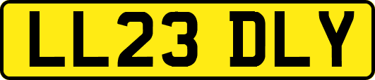 LL23DLY