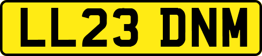 LL23DNM