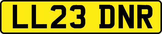 LL23DNR