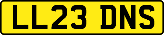 LL23DNS