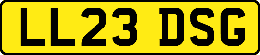 LL23DSG
