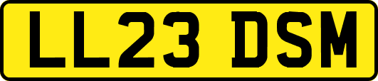 LL23DSM