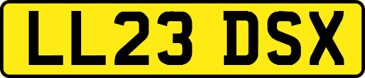 LL23DSX