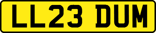 LL23DUM