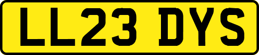 LL23DYS