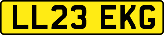 LL23EKG