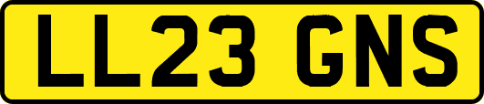 LL23GNS