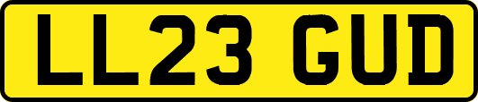 LL23GUD