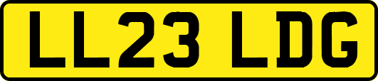 LL23LDG