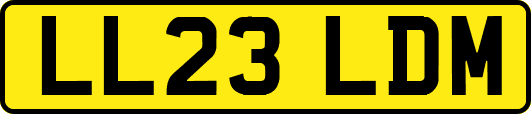 LL23LDM