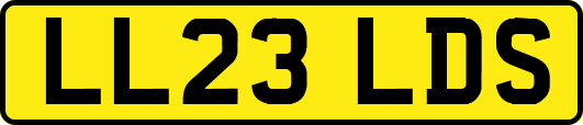 LL23LDS