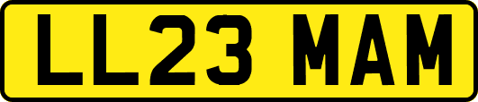 LL23MAM