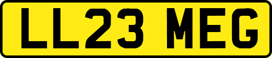 LL23MEG