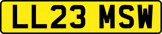 LL23MSW