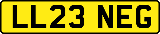 LL23NEG