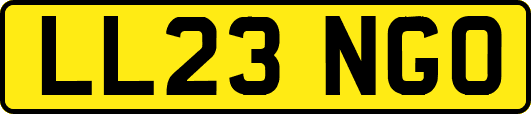 LL23NGO