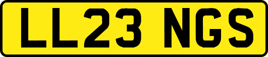 LL23NGS