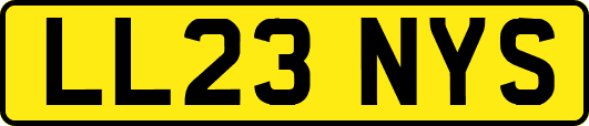 LL23NYS