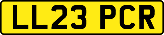 LL23PCR