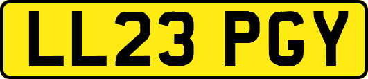 LL23PGY