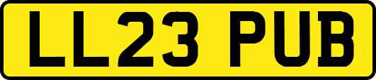 LL23PUB