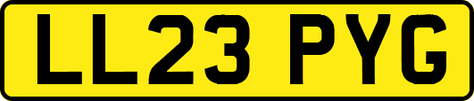 LL23PYG