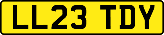 LL23TDY